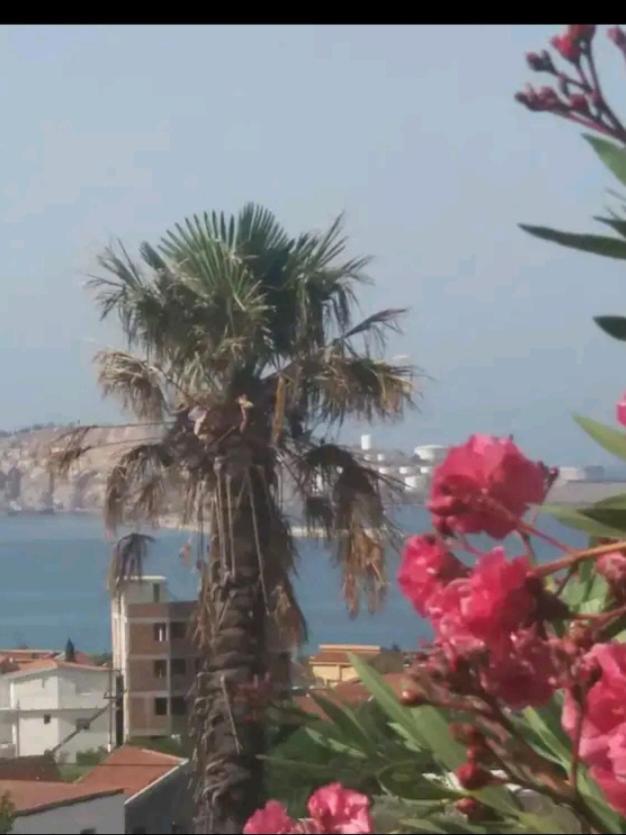 Villa Milicevic Šušanj Esterno foto